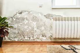 Dampness In Walls Types Causes