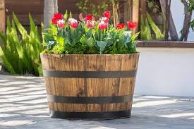 Whiskey Barrel Planter Ideas