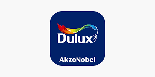 Dulux Visualizer On The App