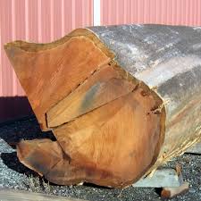 redwood old growth salvage