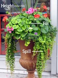 Formula For A Beautiful Container Garden