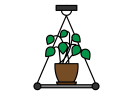 Indoor Plant Icon Logo Design Template