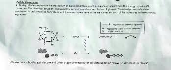 Atp Molecules The Chemical Equations