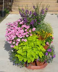 Creating Blooming Container Gardens For