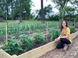 Raised Beds