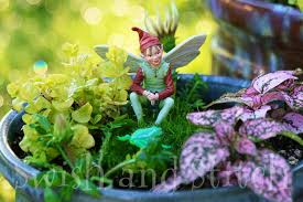 Enchanted Fairy Gardens