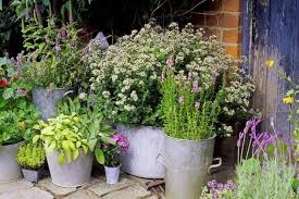 11 Ideas For Simple Cottage Gardens