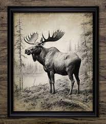 Moose Wall Art Printable Moose European