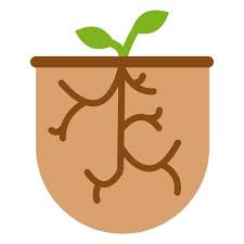 Plant Growth Botanical Icon Png Design