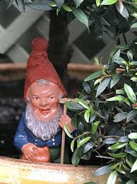 A History Of The Garden Gnome