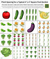 Starting Your Own Square Foot Garden