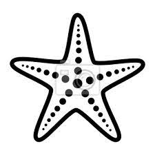 Common Starfish Or Sea Star Fish Marine