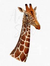 Antique Image Giraffe Head Png Clipart