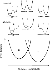 Hcl Acid Ionization In Water