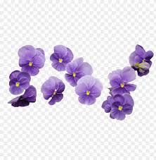 Purple Flowers Flower Vector Art
