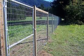 Your Garden With Rabbit And Deer Fencing