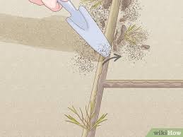 How To Fill Gaps Between Slabs Wikihow