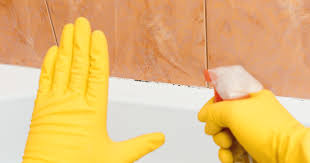 How To Remove Mold And Mildew From
