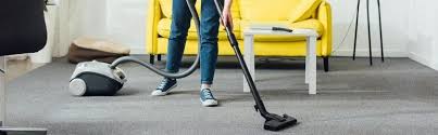 Best Vacuum For Pet Hair On Hardwood Floor