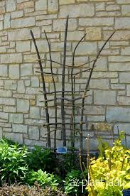 Wooden Trellis From Branches Easy