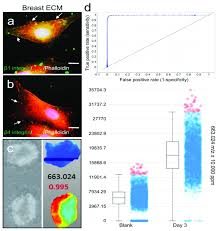 Membrane Surface Receptor Expression