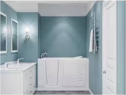 Bathtubs Tampa Clearwater Shower Bath