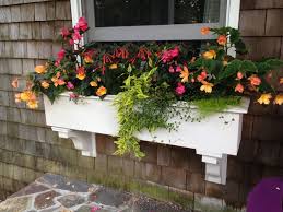Window Box Planting Ideas For 4 Seasons