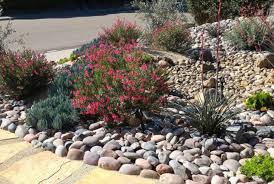 Modern Xeriscaping In South Africa