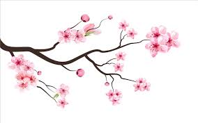 Cherry Blossom Branch Vector 286677