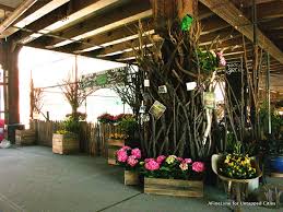 Urban Garden Center Rebuilds