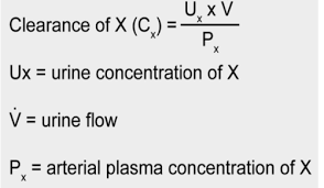 Renal Clearance Flashcards Quizlet