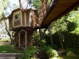 Two Treehouses One Backyard