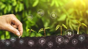 Life Begins In The Soil Dr Earth