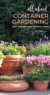 Successful Container Gardening