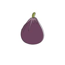 Healthy Organic Figs