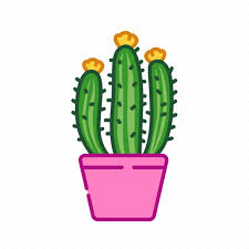 Cacti Cactus Decoration Houseplant
