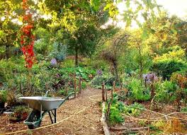 Permaculture Design Principles 12