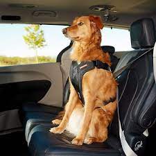 Ezydog Drive Dog Car Harness Large