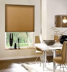 Blindsgalore Classic Roller Shades
