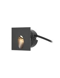 Icon Outdoor Wall Light Forlight