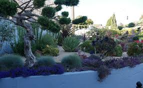 Xeriscaping And Drought Tolerant Plants