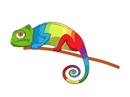 Multicolored Chameleon Lizard Animal