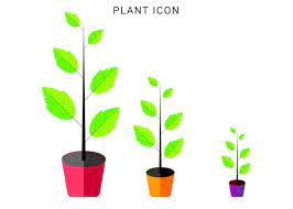 Small Plant Vectors Ilrations For