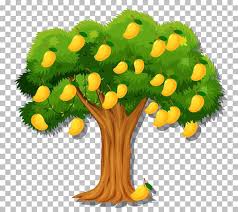 Mango Tree Images Free On