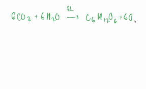 Chemical Equation For The Synthesis
