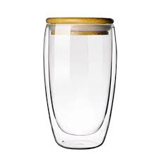 Double Walled Borosilicate Glass Mug