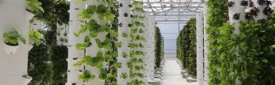 Tower Farms Vertical Aeroponic Farming