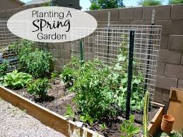 Spring Container Gardening A Stroll