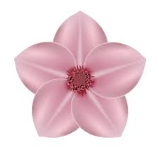Pink Flower Icon Png Images Vectors