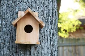 Diy Birdhouse From One Cedar Fence